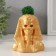 Kashpo concrete "Skeleton of the pharaoh" with moss 10*8.5cm gold (moss green stabilized)