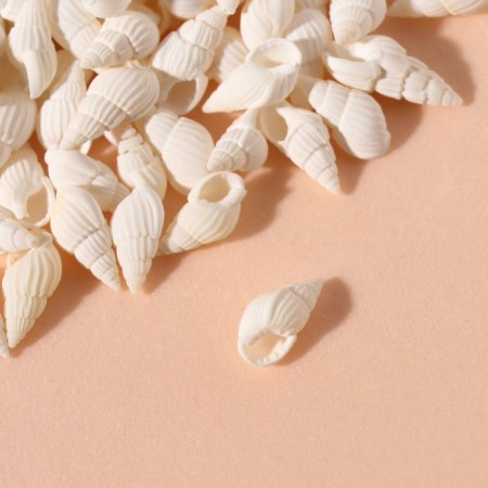 Natural decorative shells "White" set of 100 g-2