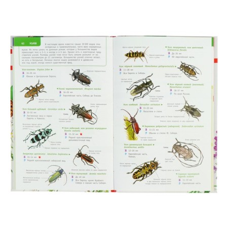 The best determinant. Insects in Russia-4