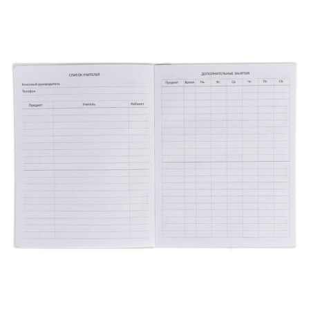 Universal diary for grade 1-11 Avokoshka, soft cover, artificial leather, silkography, liesse, 80 g/m2-3