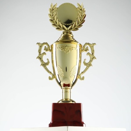 Cup 014, award figure, gold, plastic stand, 32.5 × 16 × 8.5 cm.-9