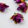 Budon on the leg for decoration "Rose Mondial" Violet 1.7x3 cm