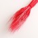 Set of dried flowers "rye", banch 35-40 pcs, length 55-65 (+/- 6 cm), red