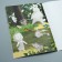 Book with applications, 20 pages, a5, Masha and the bear