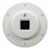Walls wall, interior "garden roses", silent, d-28.5 cm, white