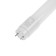 LED lamp Ecola T8, G13, 10 W, 6500 K, 220 V, 605x28 mm, matte glass