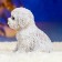 Garden figure "Puppy of the Westhelend Terrier" 14x11cm