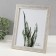 Photo frame plastic 20x25 cm "Krakelyur. Gold on white" 23.4x28.5 cm