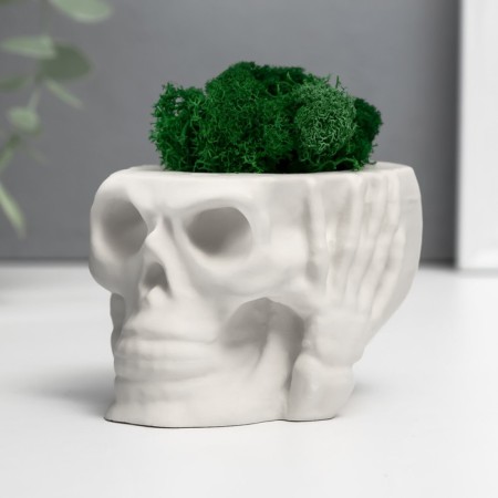 Kashpo concrete "Skull Silence" with moss 6.5x10 cm white (moss green stabilized)-2