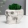Kashpo concrete "Skull Silence" with moss 6.5x10 cm white (moss green stabilized)