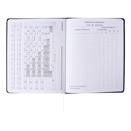 Universal diary for grade 1-11 Tokyo Girls, solid cover, artificial leather, foam rubber, liesse, 80 g/m2-5