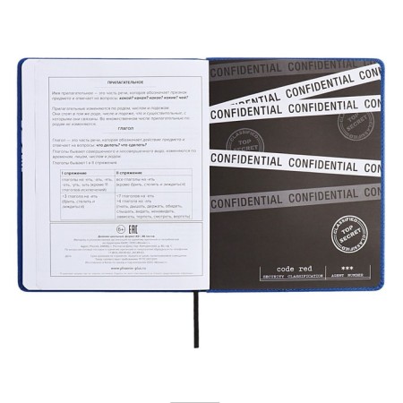 School diary for grades 1-11 Prividies, hard cover, artificial leather, foil embossing, tin-rush, liesse, 48 sheets, universal cheat sheet, block 80g/m2-12