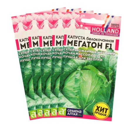 White cabbage seeds of white megaton, set 5 pcs