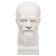 Gypsum figure famous people: Bust of Dostoevsky 13*8.5*10.5 10-194