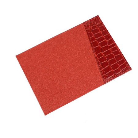 Cover for passport, red color
