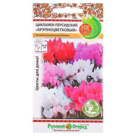 Seeds of indoor flowers cyclamen "large -flowered", 5 pcs.-2