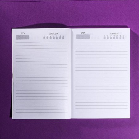 Diary in the thin cover of the “terrible holiday” A5, 80 sheets-1