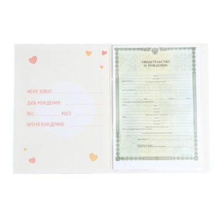 The folder for the birth certificate "Bear", 23.5 x 31.5 cm.-5