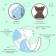 Panties-scammer, reusable, carbon-bamboo fabric, blue color, from 0-36 months.