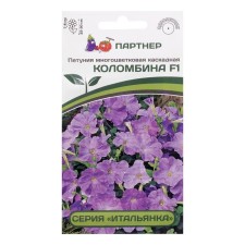 Flowers of Petunia 