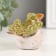 Souvenir Ceramics "Bird with open wings" 6.7x7.7x5.9 cm