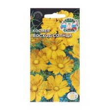 Flowers of Cosmeus 