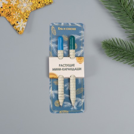 Growing gift pencils mini "blue spruce + pine" set 2 pcs.