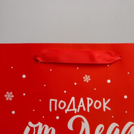 Package Laminated Vertical “Gift from Santa Claus”, ML 23 x 27 x 11.5 cm, New Year-3