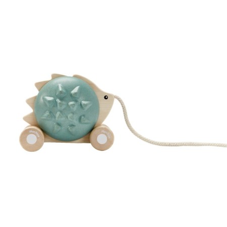 Plan Toys Catcam "Hedgehog"-1
