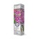 Clematis large -flowered "Dr. Rappel" 1 pc, tube, spring 2025