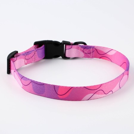 Set "Tenderness", fastener - Fastex, leash 2 m and collar 28-46 cm-4