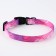Set "Tenderness", fastener - Fastex, leash 2 m and collar 28-46 cm
