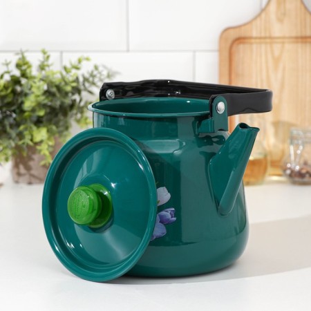 Kettle, 3.5 l, with a mix of mix, induction, turquoise color-1