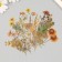 Plastic stickers "Autumn flowers. Yellow" set 40 pcs 15x8 cm
