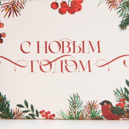 Botanika Capcake box, 16 x 16 x 10 cm, New Year-3