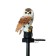 Garden lamp on the sunny battery "Owl", 45 cm, 1 LED, glow warm white