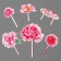 Decoration for the cake "Happy holiday", flowers