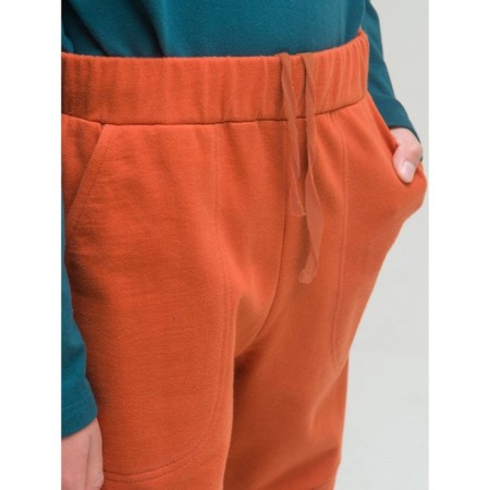 Pants for boys, height 116 cm, ocher color-3