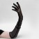Carnival gloves, black, transparent, long color