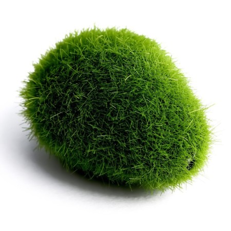 The basis for creativity "Stone with Moss" set of 4 pcs., Size 1 pc. - 5 × 1.5 × 3 cm