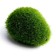 The basis for creativity "Stone with Moss" set of 4 pcs., Size 1 pc. - 5 × 1.5 × 3 cm