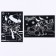 Engraving "dragon-dorsa", with a color effect, 2 pcs