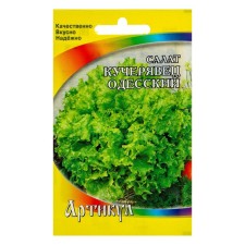Salad Salad 