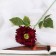 Artificial flowers "Tensor" 46x10 cm, burgundy