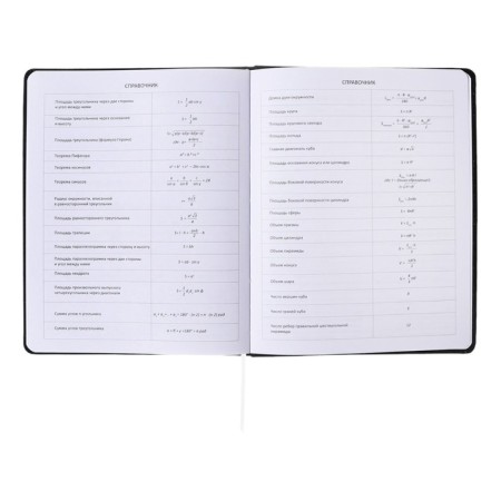 Universal diary for grade 1-11, solid cover, artificial leather, foil embossing, liesse, 80 g/m2-10