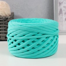 Knitted yarn, width 7-9 mm, 100m/295 gr ± 10% (29 - menthol)