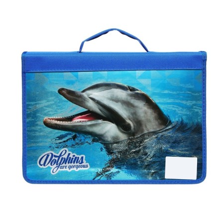 A4 labor folder, with handles, lightning around, laminated cardboard, 81TR44, calligrata, "dolphin"-2