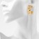 Earrings “Geometry” Ornament, Color Gold, D = 2.8 cm