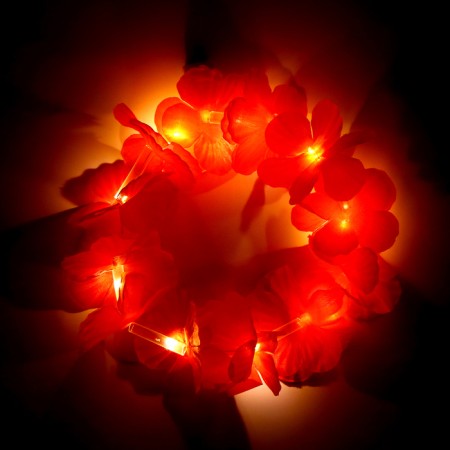Habaisky light “Alokha” wreath, 3 backlight modes, red color-3