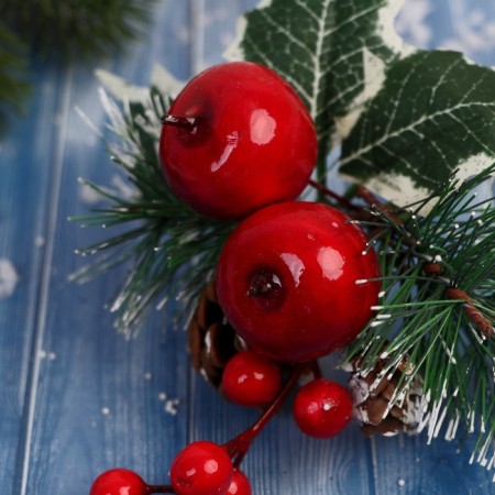 Decor "Winter Dreams" Apples snowy spruce branches of cones, 16 cm-1